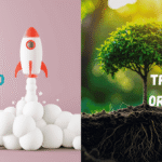 TRAFICO PAGO VS TRAFICO ORGANICO DESDE ARGENTINA